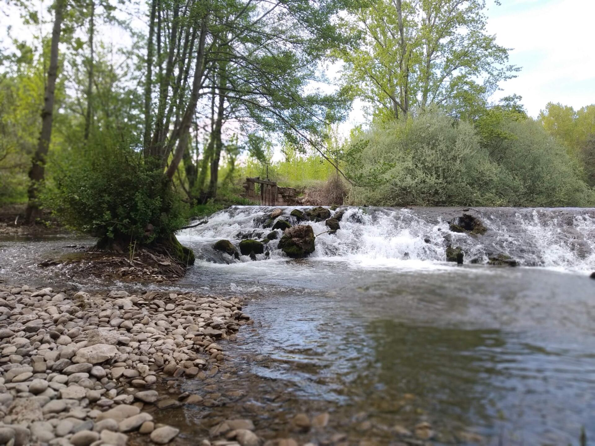 Presa molino