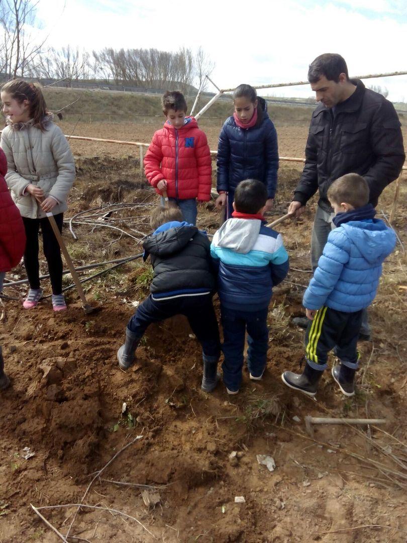 DIA DEL ARBOL