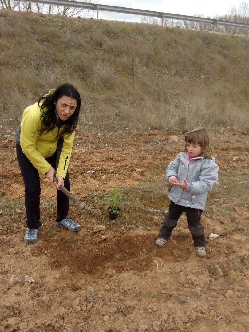 DIA DEL ARBOL