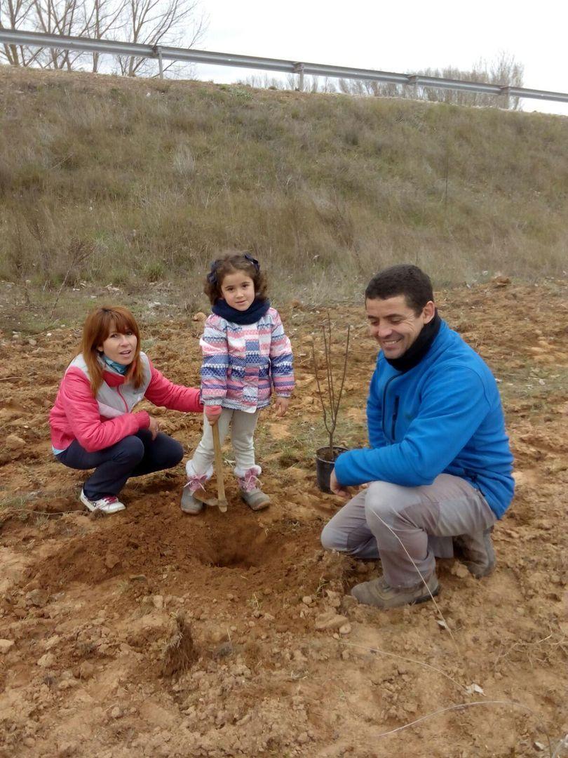 DIA DEL ARBOL