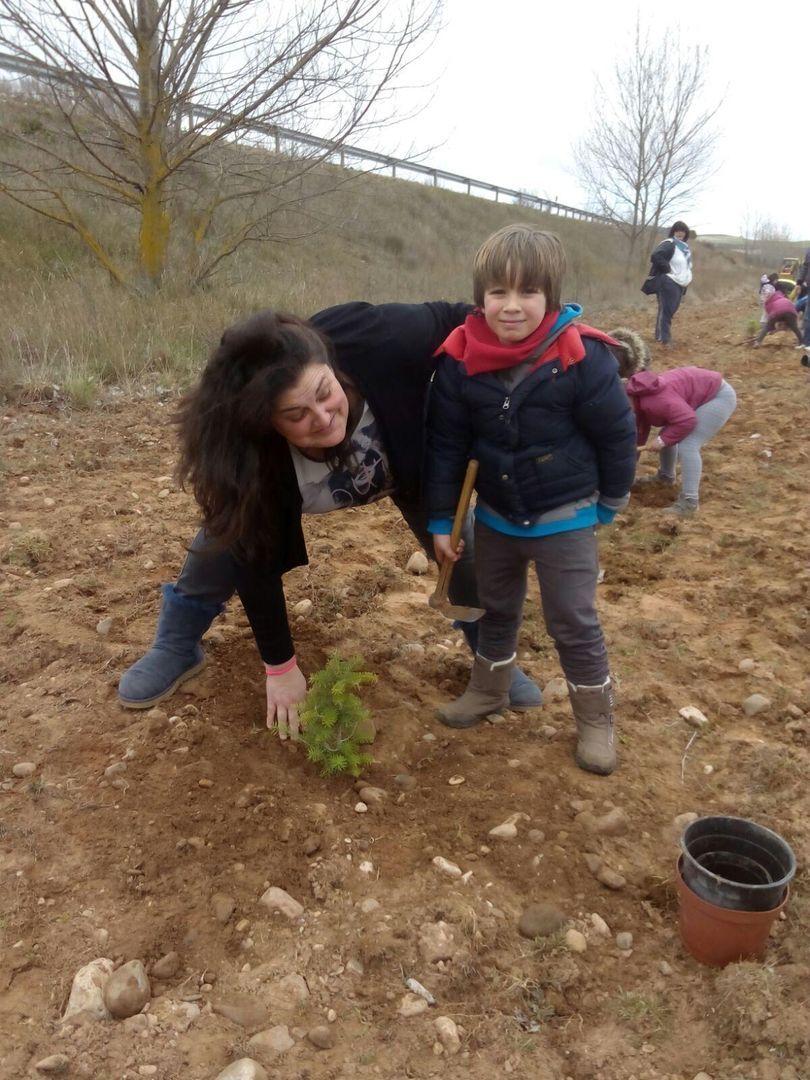 DIA DEL ARBOL