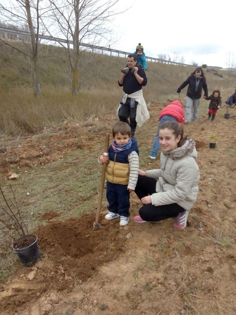 DIA DEL ARBOL